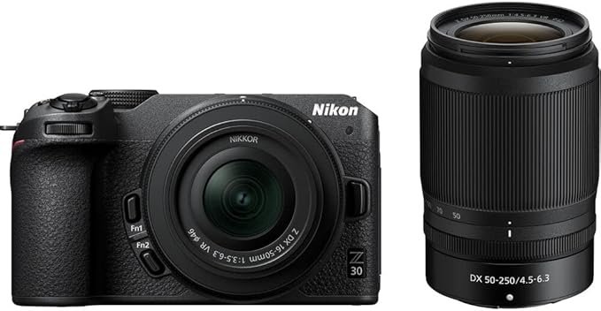 Mirrorless Camera Reach and Speed Comparison